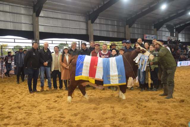 La 22° Exposición Nacional Braford mostró la excelencia de la raza en Corrientes,